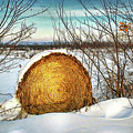 Hay bale forgotten in the snow